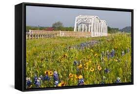 Wild Flowers by Highway and the Llano River, Texas, USA-Larry Ditto-Framed Stretched Canvas