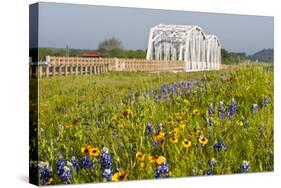 Wild Flowers by Highway and the Llano River, Texas, USA-Larry Ditto-Stretched Canvas