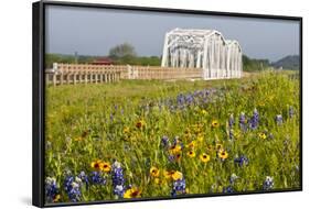 Wild Flowers by Highway and the Llano River, Texas, USA-Larry Ditto-Framed Photographic Print