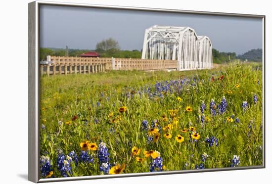 Wild Flowers by Highway and the Llano River, Texas, USA-Larry Ditto-Framed Photographic Print