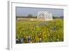 Wild Flowers by Highway and the Llano River, Texas, USA-Larry Ditto-Framed Photographic Print