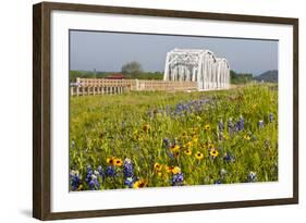 Wild Flowers by Highway and the Llano River, Texas, USA-Larry Ditto-Framed Photographic Print