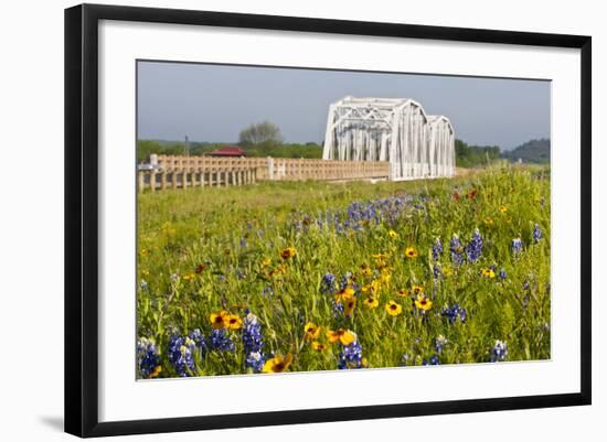 Wild Flowers by Highway and the Llano River, Texas, USA-Larry Ditto-Framed Photographic Print