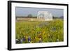 Wild Flowers by Highway and the Llano River, Texas, USA-Larry Ditto-Framed Photographic Print