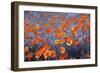 Wild Flowers Field-Ata Alishahi-Framed Giclee Print