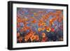 Wild Flowers Field-Ata Alishahi-Framed Giclee Print