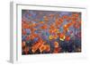 Wild Flowers Field-Ata Alishahi-Framed Giclee Print