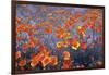 Wild Flowers Field-Ata Alishahi-Framed Giclee Print