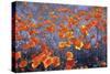 Wild Flowers Field-Ata Alishahi-Stretched Canvas