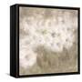 Wild Flowers I-li bo-Framed Stretched Canvas