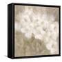 Wild Flowers II-li bo-Framed Stretched Canvas