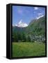 Wild Flowers in a Meadow with the Town of Zermatt and the Matterhorn Behind, in Switzerland, Europe-Rainford Roy-Framed Stretched Canvas