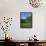 Wild Flowers in a Meadow with the Town of Zermatt and the Matterhorn Behind, in Switzerland, Europe-Rainford Roy-Framed Stretched Canvas displayed on a wall