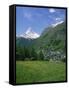 Wild Flowers in a Meadow with the Town of Zermatt and the Matterhorn Behind, in Switzerland, Europe-Rainford Roy-Framed Stretched Canvas