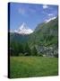 Wild Flowers in a Meadow with the Town of Zermatt and the Matterhorn Behind, in Switzerland, Europe-Rainford Roy-Stretched Canvas