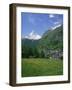 Wild Flowers in a Meadow with the Town of Zermatt and the Matterhorn Behind, in Switzerland, Europe-Rainford Roy-Framed Photographic Print