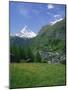 Wild Flowers in a Meadow with the Town of Zermatt and the Matterhorn Behind, in Switzerland, Europe-Rainford Roy-Mounted Photographic Print