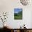 Wild Flowers in a Meadow with the Town of Zermatt and the Matterhorn Behind, in Switzerland, Europe-Rainford Roy-Photographic Print displayed on a wall