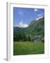 Wild Flowers in a Meadow with the Town of Zermatt and the Matterhorn Behind, in Switzerland, Europe-Rainford Roy-Framed Photographic Print