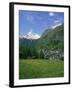 Wild Flowers in a Meadow with the Town of Zermatt and the Matterhorn Behind, in Switzerland, Europe-Rainford Roy-Framed Photographic Print