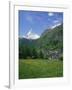 Wild Flowers in a Meadow with the Town of Zermatt and the Matterhorn Behind, in Switzerland, Europe-Rainford Roy-Framed Photographic Print