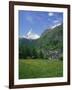 Wild Flowers in a Meadow with the Town of Zermatt and the Matterhorn Behind, in Switzerland, Europe-Rainford Roy-Framed Photographic Print