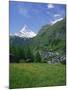 Wild Flowers in a Meadow with the Town of Zermatt and the Matterhorn Behind, in Switzerland, Europe-Rainford Roy-Mounted Photographic Print