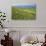 Wild flowers in bloom and horses, Mountain Acuto, Apennines, Umbria, Italy, Europe-Lorenzo Mattei-Photographic Print displayed on a wall