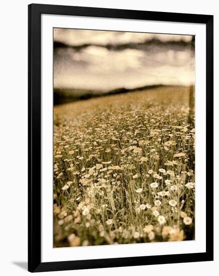 Wild Flowers in Field-Tim Kahane-Framed Photographic Print