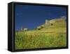 Wild Flowers in Front of the Castle of Medallin in Extremadura, Spain, Europe-Michael Busselle-Framed Stretched Canvas