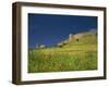 Wild Flowers in Front of the Castle of Medallin in Extremadura, Spain, Europe-Michael Busselle-Framed Photographic Print