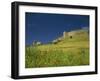 Wild Flowers in Front of the Castle of Medallin in Extremadura, Spain, Europe-Michael Busselle-Framed Photographic Print