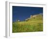 Wild Flowers in Front of the Castle of Medallin in Extremadura, Spain, Europe-Michael Busselle-Framed Photographic Print