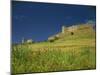 Wild Flowers in Front of the Castle of Medallin in Extremadura, Spain, Europe-Michael Busselle-Mounted Photographic Print