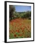 Wild Flowers Including Poppies in a Grove of Trees, Rhodes, Dodecanese, Greek Islands, Greece-Miller John-Framed Photographic Print