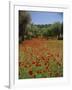 Wild Flowers Including Poppies in a Grove of Trees, Rhodes, Dodecanese, Greek Islands, Greece-Miller John-Framed Photographic Print