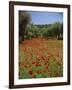 Wild Flowers Including Poppies in a Grove of Trees, Rhodes, Dodecanese, Greek Islands, Greece-Miller John-Framed Photographic Print