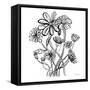 Wild Flowers Line I-Farida Zaman-Framed Stretched Canvas