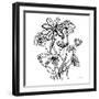 Wild Flowers Line I-Farida Zaman-Framed Art Print