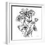 Wild Flowers Line I-Farida Zaman-Framed Art Print