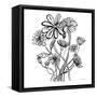 Wild Flowers Line I-Farida Zaman-Framed Stretched Canvas