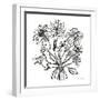 Wild Flowers Line II-Farida Zaman-Framed Art Print