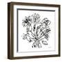 Wild Flowers Line II-Farida Zaman-Framed Art Print