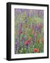 Wild Flowers Near Goreme, Cappadocia, Anatolia, Turkey-R H Productions-Framed Photographic Print