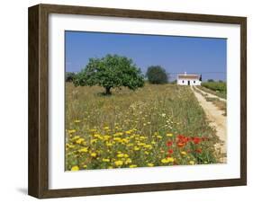 Wild Flowers Near Tavira, Algarve, Portugal-John Miller-Framed Photographic Print