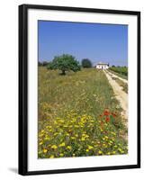 Wild Flowers Near Tavira, Algarve, Portugal-John Miller-Framed Photographic Print