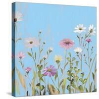 Wild Flowers on Cerulean I-Sandra Iafrate-Stretched Canvas