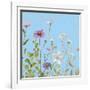 Wild Flowers on Cerulean II-Sandra Iafrate-Framed Art Print