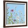 Wild Flowers on Cerulean II-Sandra Iafrate-Framed Art Print