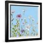 Wild Flowers on Cerulean II-Sandra Iafrate-Framed Art Print